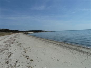 View More Information on Property Id 107314