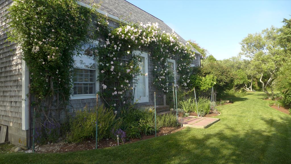 11 Meeting House Lane, Nantucket 11 Meeting House Lane, Nantucket