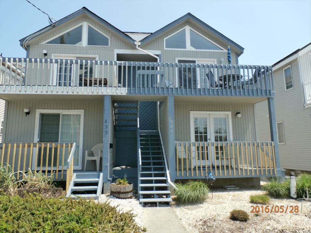 835 5th Street, Ocean City Floor: TH 835 5th Street, Ocean City Floor: TH