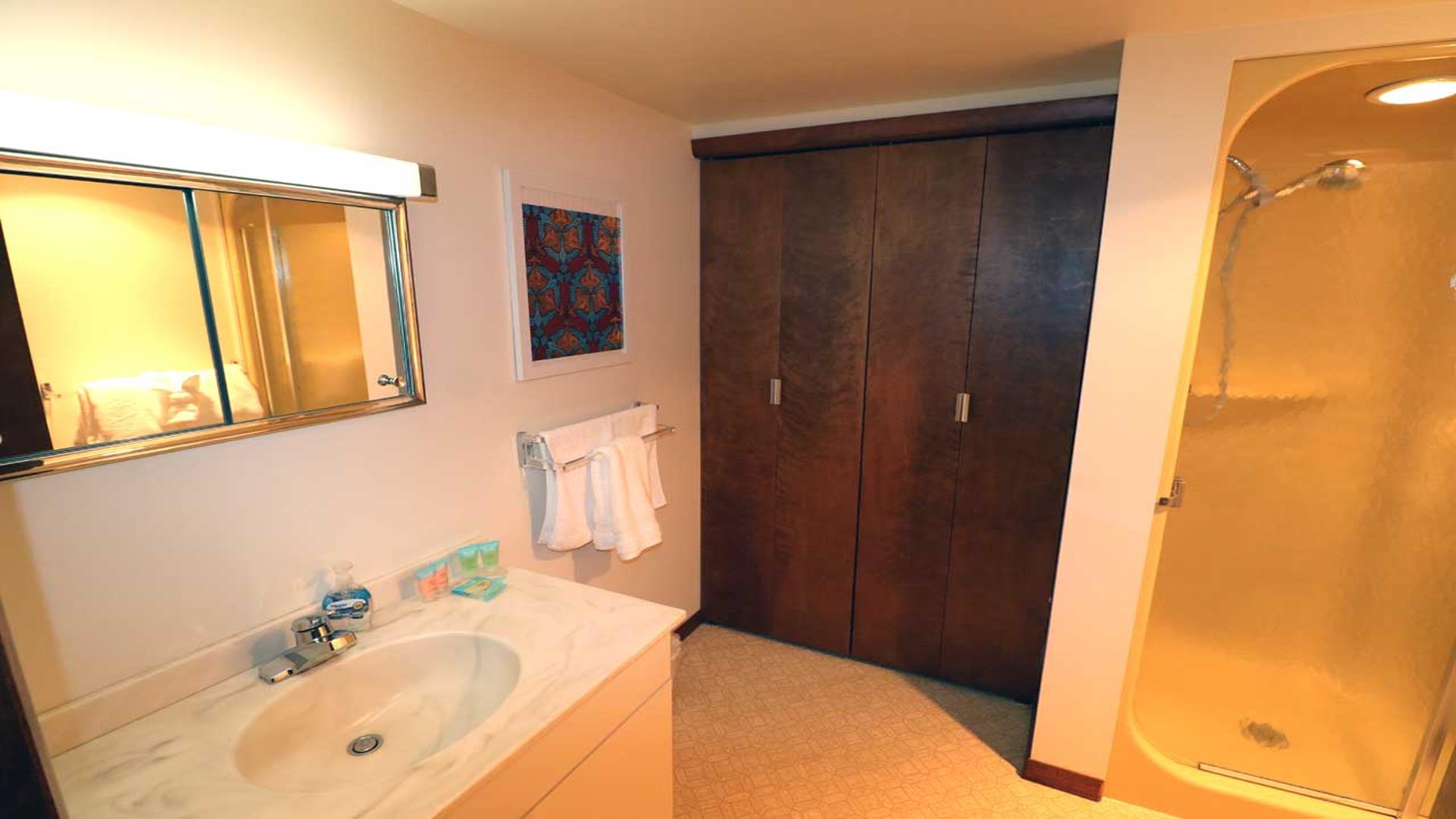 Lower level bathroom with stand up shower